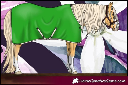 Horse Color:Palomino
