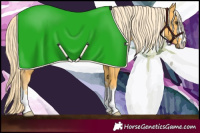 Horse Color:Palomino 