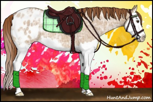 Horse Color:Red Dun Ice Roan Splash Appaloosa 