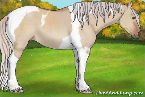 Horse Color:Silver Brown Dun Tobiano 