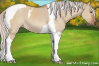 Horse Color:Silver Brown Dun Tobiano 
