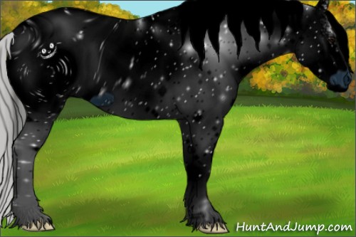 Horse Color:ERROR: UNKNOWN ANOMALY