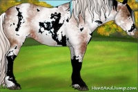 Horse Color:White Spotted Silver Bay 