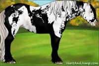 Horse Color:White Spotted Silver Brown Tobiano 