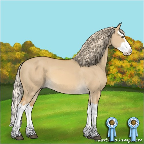Horse Color:Palomino Dun Splash 