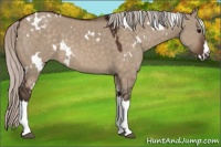 Horse Color:White Spotted Silver Brown Dun