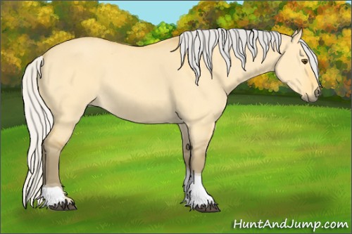 Horse Color:Silver Buckskin Dun Tobiano 