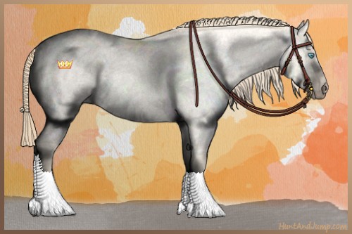 Horse Color:Perlino Roan Dun 