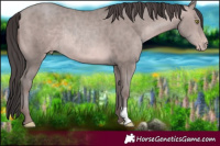 Horse Color:Platinum Sable Champagne Rabicano 