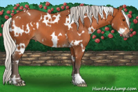 Horse Color:White Spotted Silver Bay 