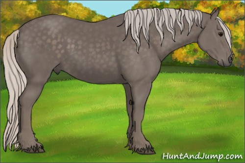 Horse Color:Silver Black 