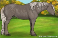 Horse Color:Silver Black 