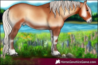 Horse Color:Silver Bay Onyx 
