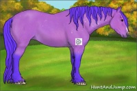Horse Color:Watercolor Bay Roan 
