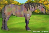 Horse Color:Nacre Brown Dun 