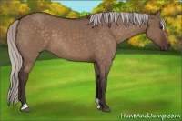 Horse Color:Silver Brown Dun Sabino Rabicano