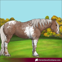 Horse Color:Silver Black Tobiano 