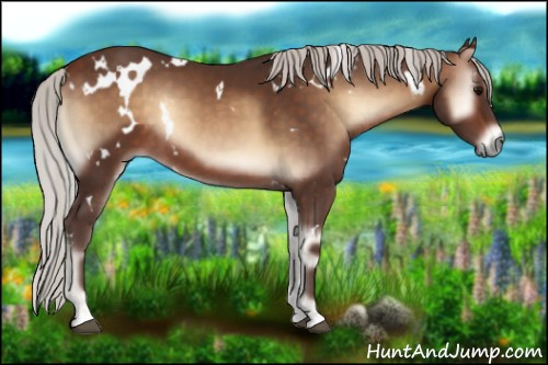 Horse Color:White Spotted Silver Brown Onyx 