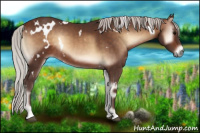 Horse Color:White Spotted Silver Brown Onyx 