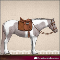 Horse Color:Chocolate Black Tobiano Varnish 