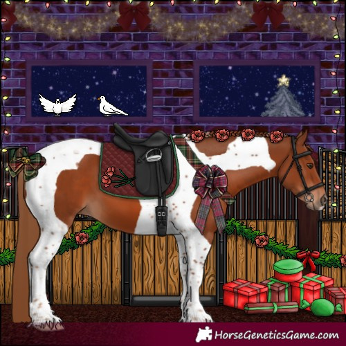 Horse Color:Chestnut Tobiano
