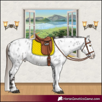 Horse Color:White Spotted Smoky Blue Roan Near Leopard