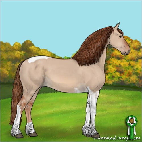 Horse Color:Red Dun Tobiano 