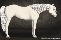 Horse Color:Cremello Splash  and Cremello Splash Rabicano 
