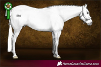 Horse Color:Gray Silver Black Splash Snowcap 