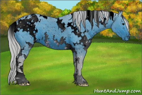 Horse Color:ERROR: UNKNOWN ANOMALY