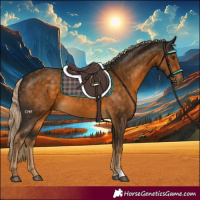 Horse Color:Chocolate Palomino 