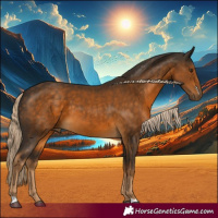 Horse Color:Chocolate Palomino 