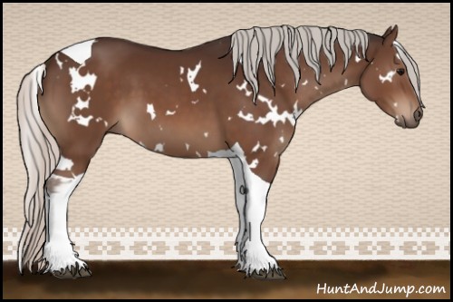 Horse Color:White Spotted Silver Brown Tobiano