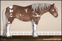 Horse Color:White Spotted Silver Brown Tobiano 