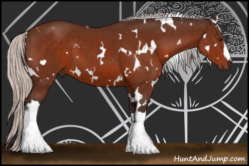 Horse Color:White Spotted Silver Brown 