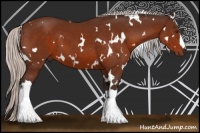 Horse Color:White Spotted Silver Brown 