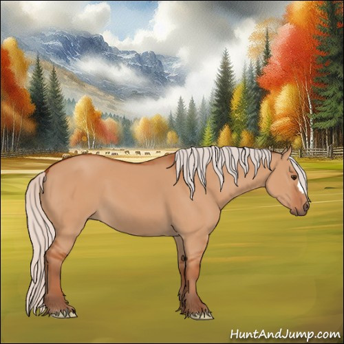 Horse Color:Silver Bay Dun 