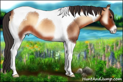 Horse Color:Bay Onyx Tobiano 