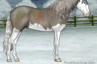 Horse Color:Silver Blue Roan Splash 