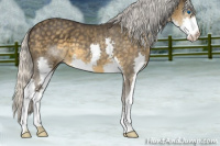 Horse Color:Silver Smoky Blue Roan Splash 