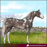 Horse Color:White Spotted Liver Chestnut Ice 