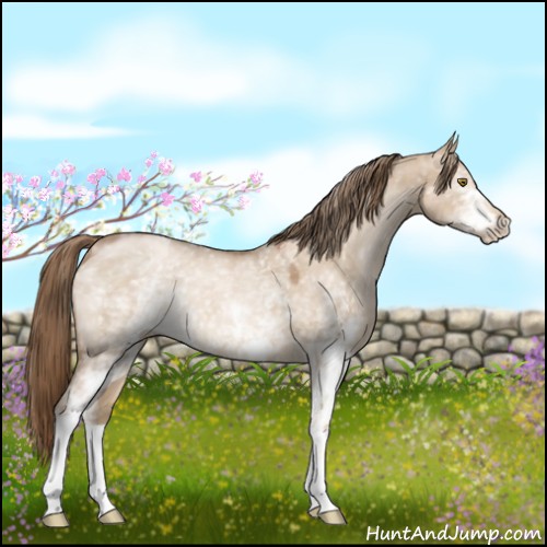 Horse Color:White Spotted Liver Red Dun Pearl 