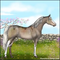 Horse Color:White Spotted Liver Red Dun Mushroom