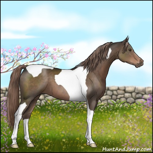 Horse Color:Liver Chestnut Tobiano 