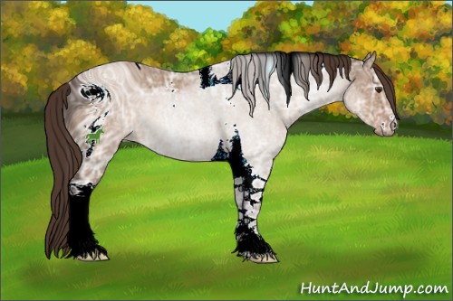 Horse Color:ERROR: UNKNOWN ANOMALY