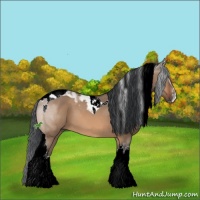 Horse Color:Bay Dun Sabino Tobiano 