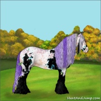 Horse Color:Watercolor White Spotted Bay Ice Roan Dun Varnish 