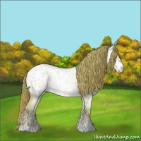 Horse Color:Watercolor Buckskin Ice Pearl Dun Sabino Near Leopard 