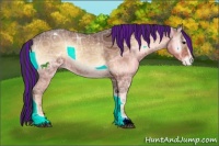Horse Color:Painted Bay Ice Onyx Sabino Appaloosa 