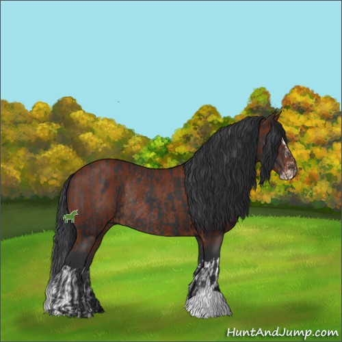 Horse Color:Black Splash Rabicano and Brown Sabino Rabicano